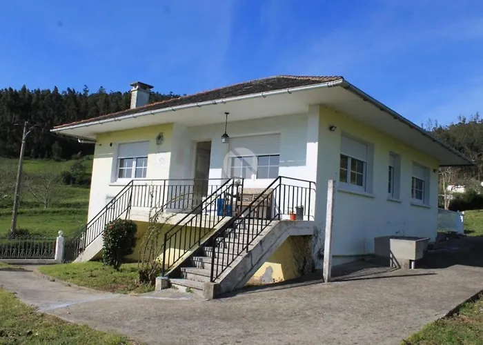 Camelias Villa A Coruna